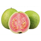 Pink_Guava