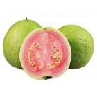 Pink_Guava Pink_Guava