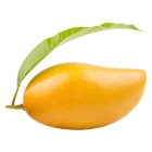 Totapori Mango